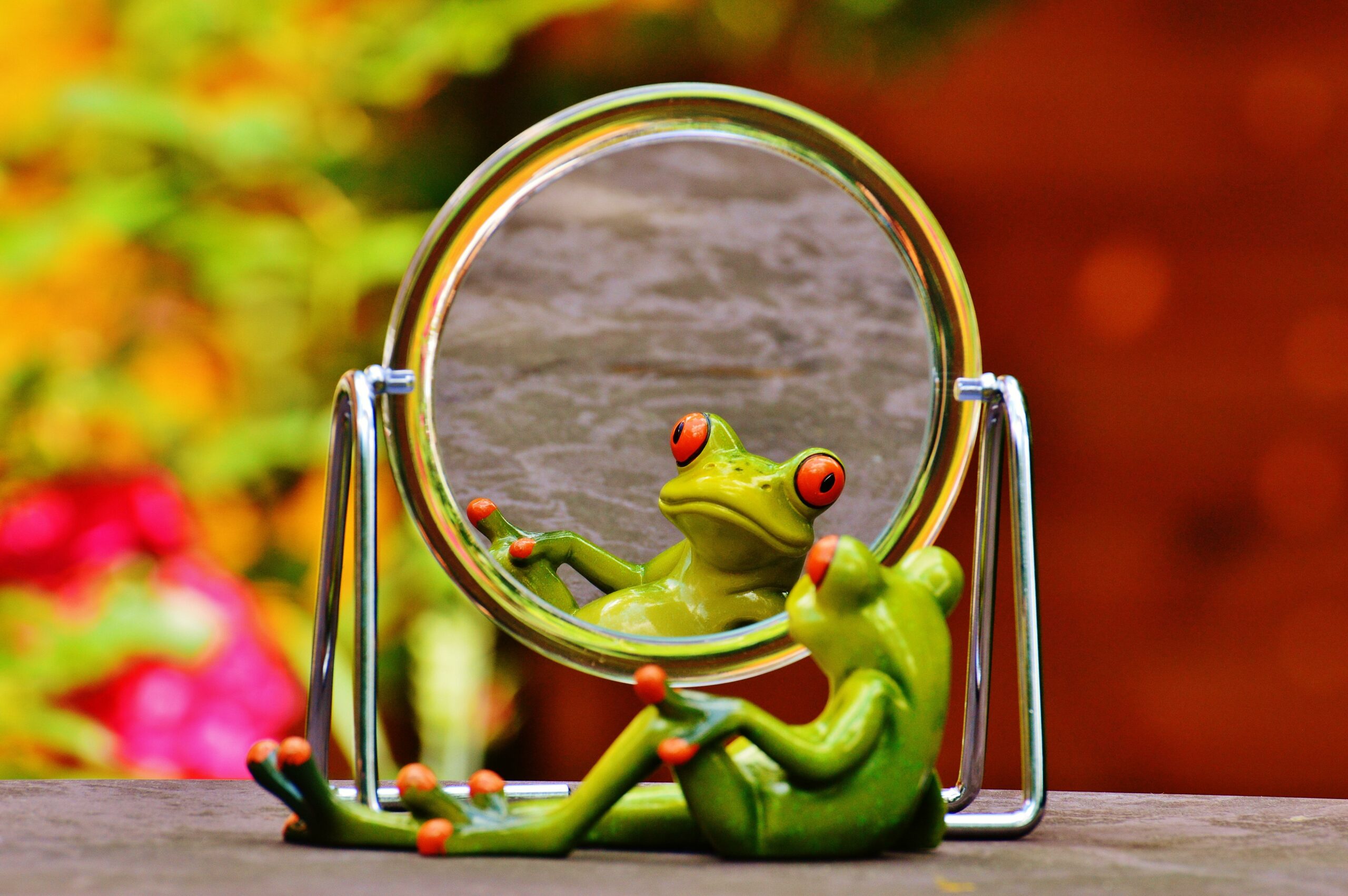 Groda liggande framför en spegel